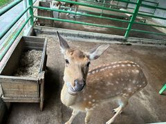 -瑞博尔花园酒店(太周创新产业园店)