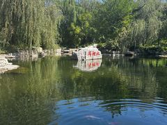 -羊亭河湿地公园