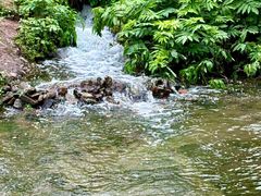 -重庆彩云湖湿地公园