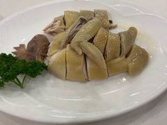 中国金奖清心鸡-清新鸡沙田乳鸽店(金融店)