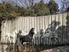 -白马涧龙池景区