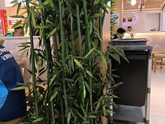 -蔡先生(双阳路店)