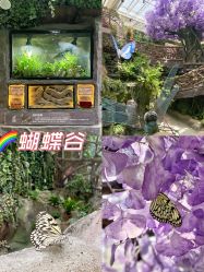 -欢乐舟·舟舟玩乐园
