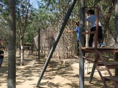 -草根堂农场