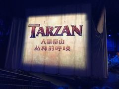 -迪士尼火鸡腿