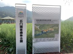 -广州市石门国家森林公园