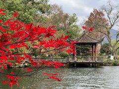 -浙江西子宾馆·瑶园咖啡厅