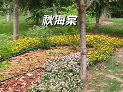 -莲湖公园