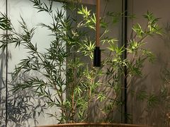 -绿茶餐厅(青岛城阳万象汇店)