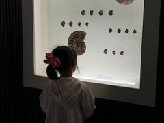 -青岛贝壳博物馆