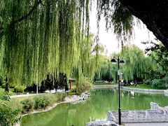 -万柳阁小馆·花园餐厅(龙潭湖店)