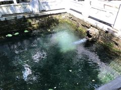 -四门塔风景区