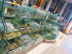 水产区-四海鲜渔家菜(黄金海岸店)
