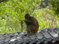 -黔灵山公园