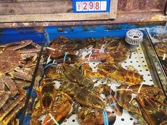 -开海·红岛海鲜虾水饺(石老人店)