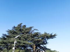 -秦始皇帝陵博物院(兵马俑)