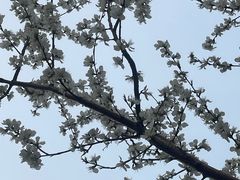 -南开大学(津南校区)