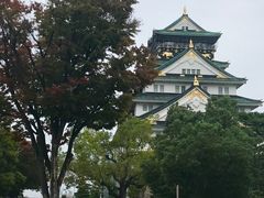-名古屋城