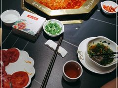 -蜀九香火锅(彩虹店)