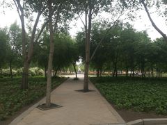 -长春公园(普阳街道)