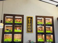 -菌自由丨野生菌火锅特色庭院餐厅(丽江古城店)