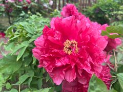 -江南大学(蠡湖校区)