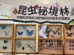 -武汉荟聚