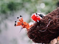 -鼓楼(西湖风景名胜区)