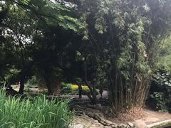 -成都市活水公园