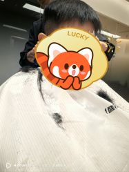 -程Studio