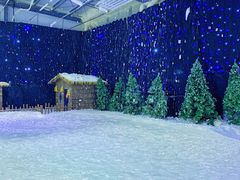 -宁波冰雪大世界(北仑区)