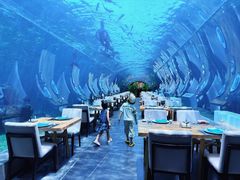 -海棠湾洲际-涛·海底餐厅·美人鱼·自助餐·海底隧道