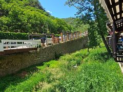 -Local泰莲庭(虹鳟鱼店)