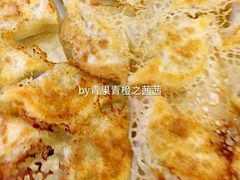 -大清花饺子(园林路店)