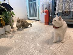 -小时光咖啡馆(北锣鼓巷店)