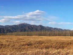 -野鸭湖国家湿地公园