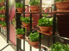 -高第街56号餐厅(邹城新一中店)