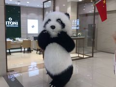 -西树泡芙(正佳店)