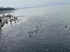 -深圳湾公园(南山区)