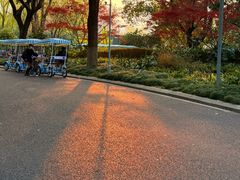 -昆山城市生态森林公园