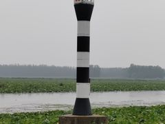 -滕州微山湖红荷湿地景区