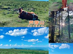-五台山风景区