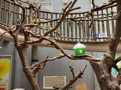 -正佳雨林生态植物园