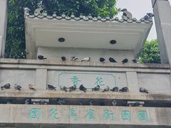 -园圃街雀鸟花园