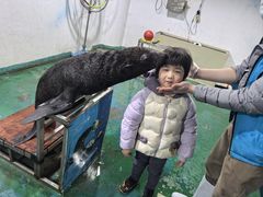 -嘉兴海底世界