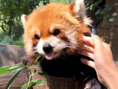 -北京野生动物园