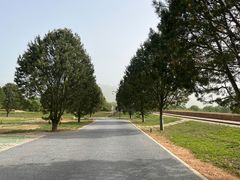 -秦始皇帝陵博物院-丽山园