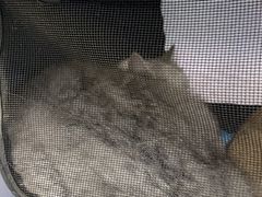 -中农国际动物医院24小时·猫科·骨科·急重症中心