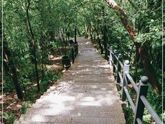 -紫金山山顶公园