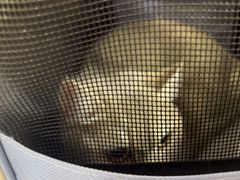-联合动物医院(光谷诊疗中心)